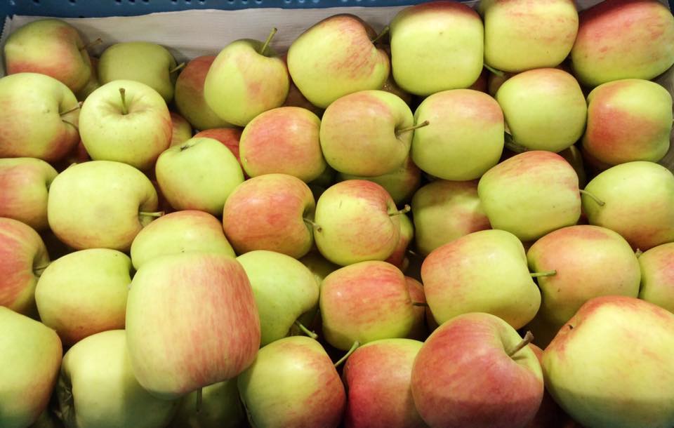 Belgische appelen